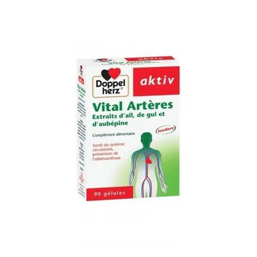 AKTIV VITAL ARTERES 90 GELULES.
