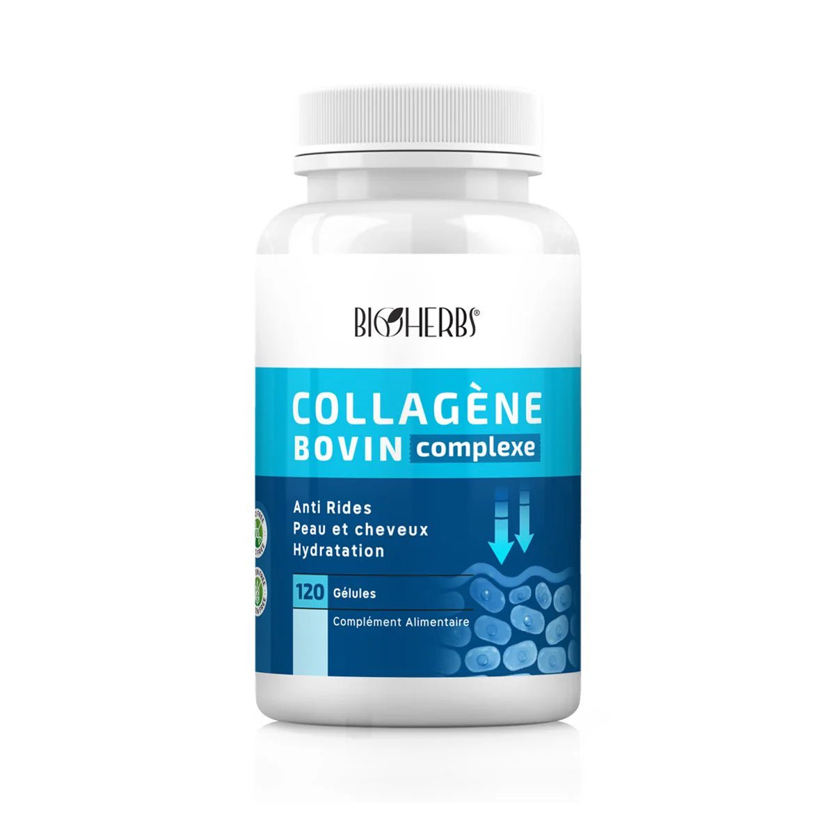 Collagène Bovin Complexe.