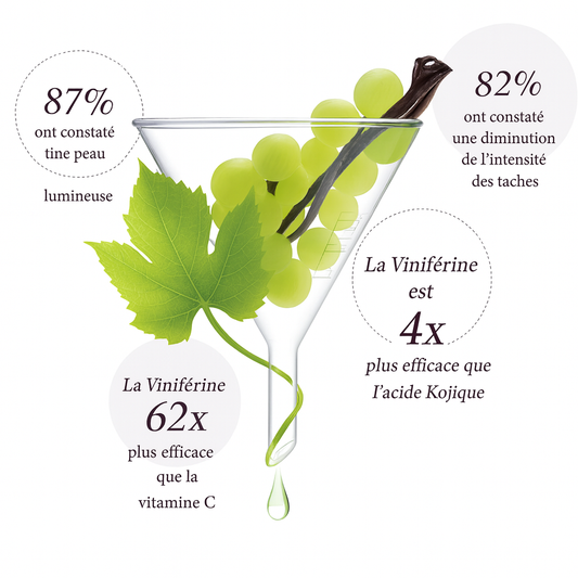 « La viniférine : le secret anti-taches de vigne qui révolutionne les soins de la peau »
