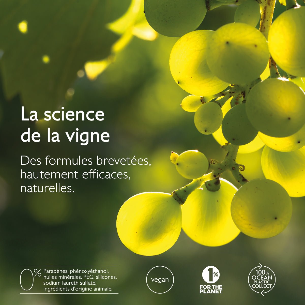 Caudalie Premier Cru Crème Riche Anti-Âge 50ml