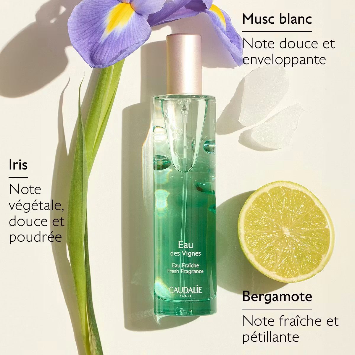 Caudalie Eau Fraîche Eau des Vignes 50ml - La Grande Para