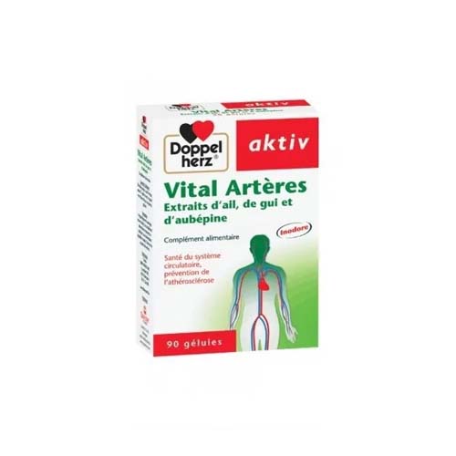 AKTIV VITAL ARTERES 90 GELULES