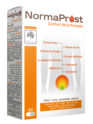 NORMAPROST BT60.