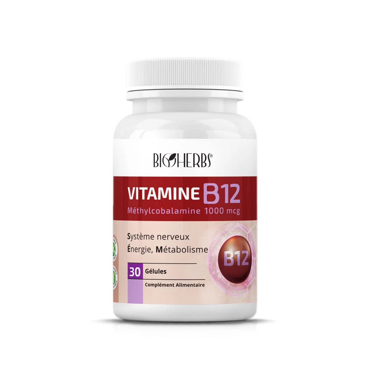 BIOHERBS Vitamine B12