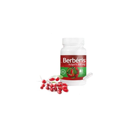 BERBERIS VULGARIS 300MG 60 GELULES