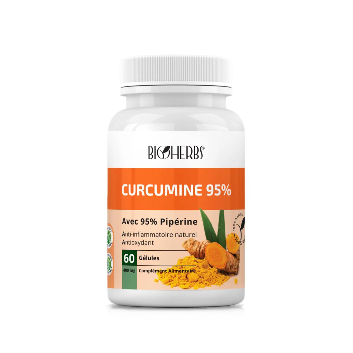 BIOHERBS Curcumine 95%