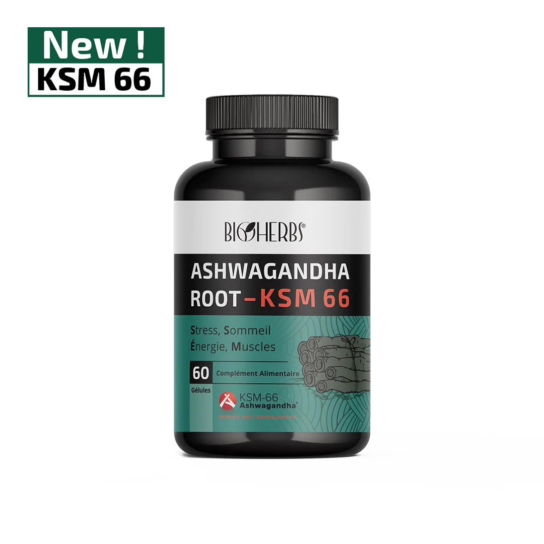 ASHWAGANDHA ROOT KSM 66.
